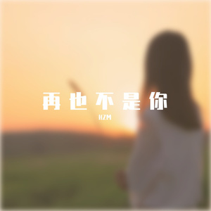 杨小壮-再也不是你（HZM remix）