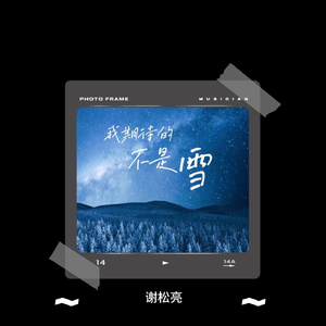 我期待的不是雪（而是有你的冬天）