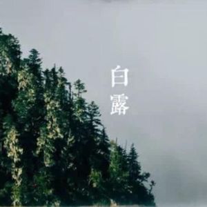 花腰带 （翻自 赵梦娇）