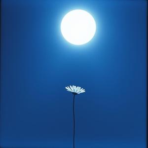 내가 나를 안아줄께