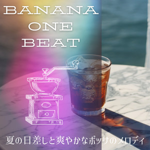 Sunlit Seaside Melodies