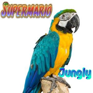 Supermario ((Forte Village))