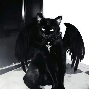 Three Nights（prod.Morrow x wustin）