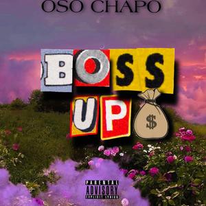 Boss UP