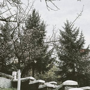 唉Pt.2（未完作品）