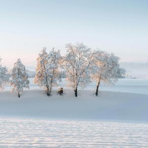 Black Memories (Cover)