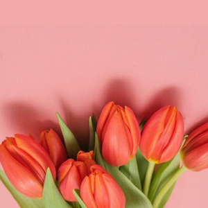 おむつストッカー