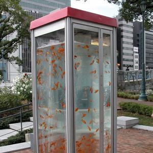 那年夏天丨暑期回忆