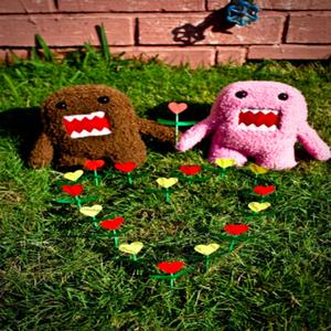 andrés caicedo desecho en un lecho de helechos