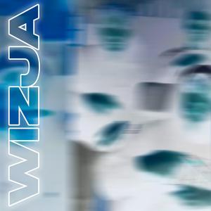 Wizja