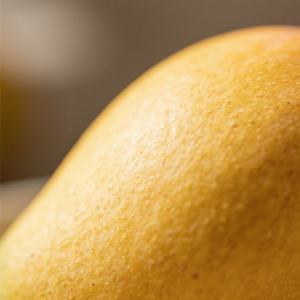 Riang Ikatan Bersinar