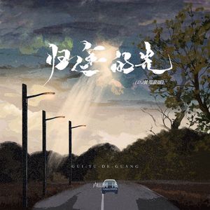 归途的光 (DJ版)