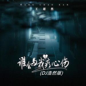 谁会为我疗心伤 (DJ浩然版)