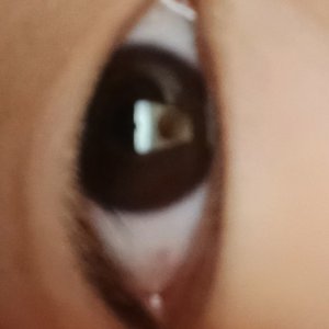 j0j0立（luka）