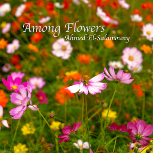 Among Flowers