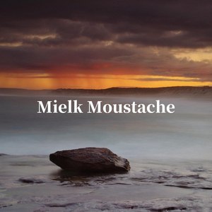 Mielk Moustache
