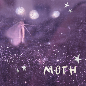 Moth