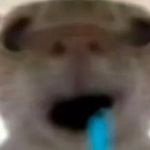 吉良吉影 (哈基米版)