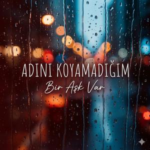 Adını Koyamadığım