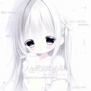 李思彤专属