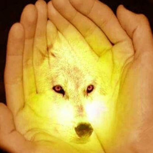 wolves