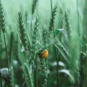 大自然馈赠的美好影像