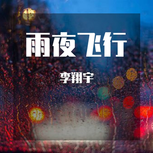 雨夜飞行