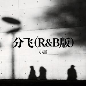 分飞
