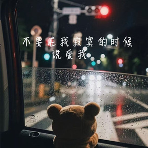 不要在我寂寞的时候说爱我(劫)