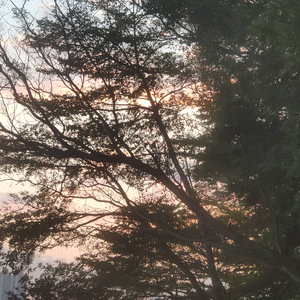 S0uth 1ake ch!lllll(prod.Boi Yanel)