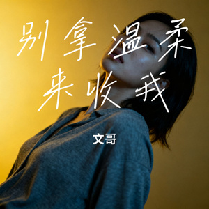 别拿温柔来收我