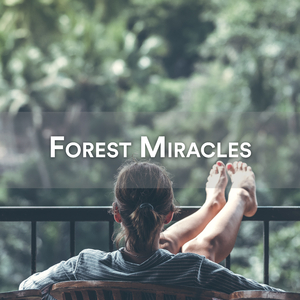 Waldgeraeusche für Kinder zum Entspannen