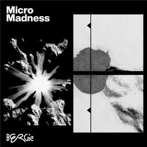 MicroMadness