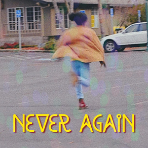 Never Again