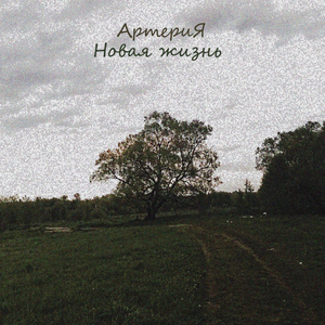 Пищевая цепь