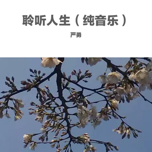 严勇-聆听人生（纯音乐）