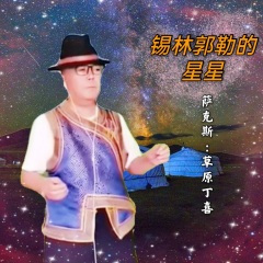 锡林郭勒的星星 (Remix)