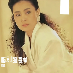 惜别的海岸（电吉他）