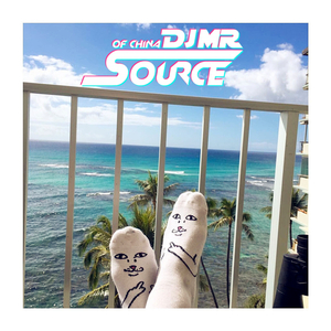 Tip Pon It (Moombahton RMX)