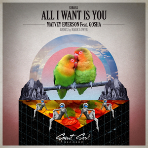 All I Want Is You (Mark Lower Day Vision Remix)