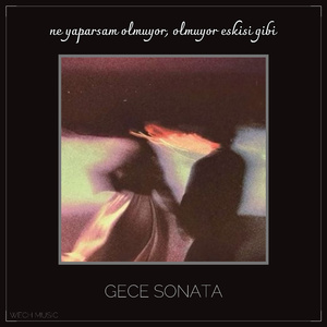 ne yaparsam olmuyor, olmuyor eskisi gibi