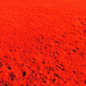 CELL NUMA (KYRA'S VERSION)