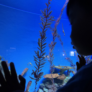 晴天雨天都喜欢
