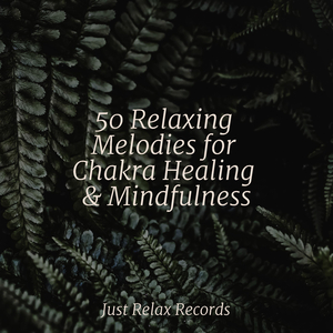 Dreams Under Constellated Skies