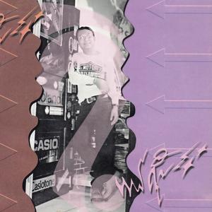 ပျောက်သွားမှာစိုး