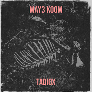 May3 Koom
