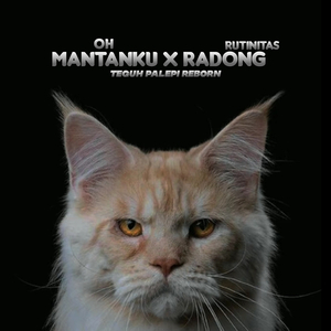 DJ Oh Mantanku X Rutinitas Randong