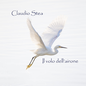 Il volo dell'airone