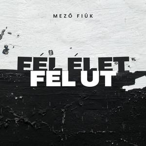 Fél élet, fél út