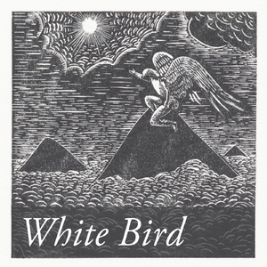 White Bird